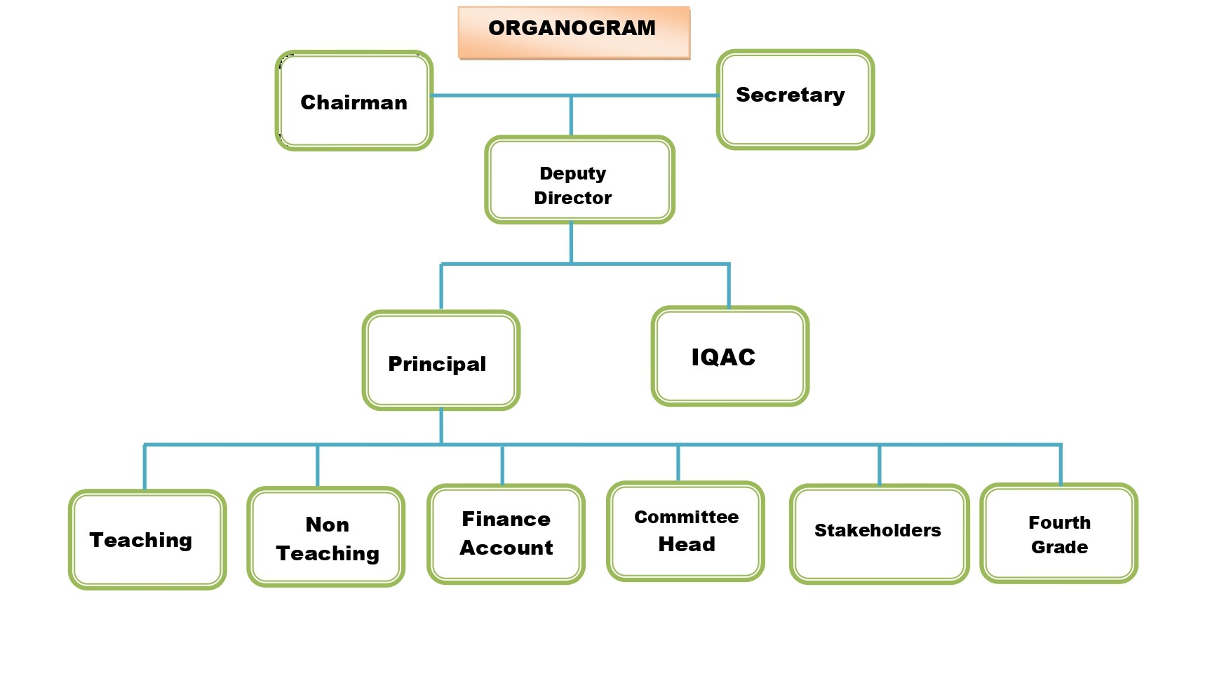 Organogram